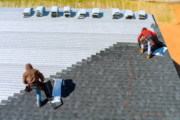 Best Roof Gutter Cleaning  in Narrows, VA